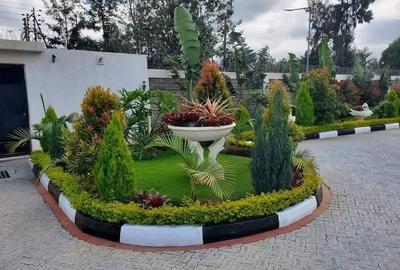 7 Bed Townhouse with En Suite in Karen - 3