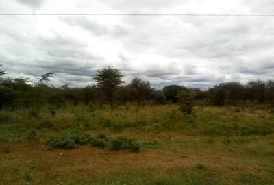 13 ac Land at Namanga Rd - 2