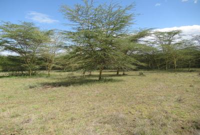 Land at Kitengela