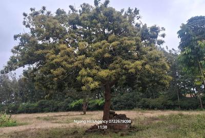 Residential Land in Ngong - 2