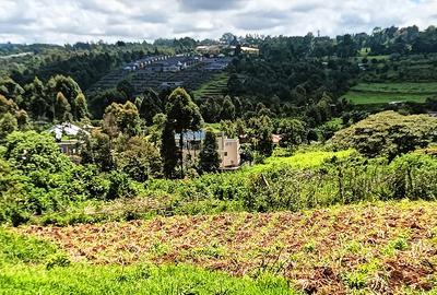 0.669 ac Land in Kikuyu Town - 3