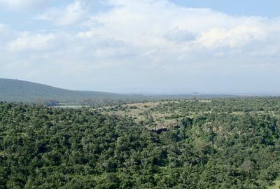 5 ac Land at Sangare Conservancy