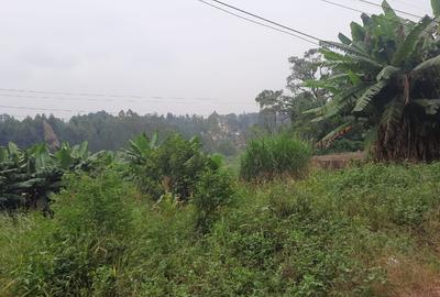 10 ac Land at Thindigua