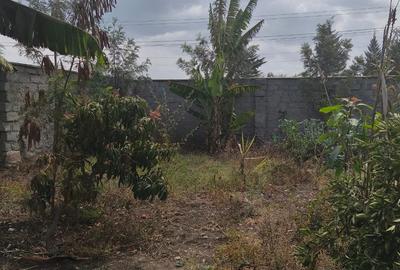 4 Bed House with Garden in Kamulu - 4