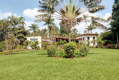 5 Bed House with Swimming Pool in Kitisuru