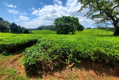 20 ac Land at Riara Ridge - 2