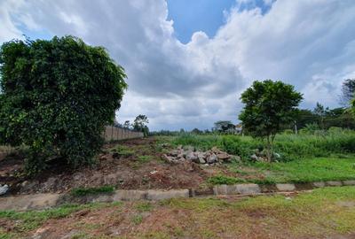 0.5 ac Residential Land at Mumwe Drive - 3