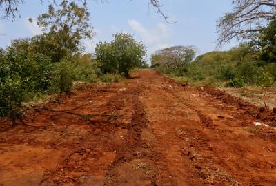 1.4 ac Land at Vipingo Beach - 3