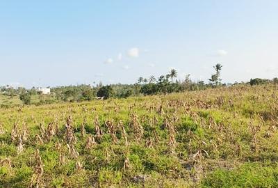 Land in Kilifi - 3