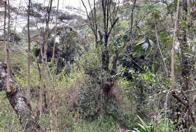 Commercial Land at Karen - 2