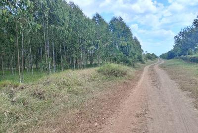 200 ac Land at Naromoru