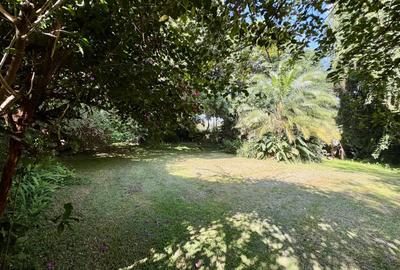 Residential Land at Mandera Rd