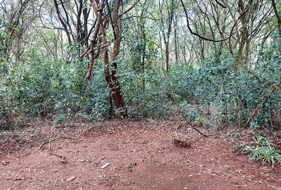 2 Bed House with En Suite at Karen - 2