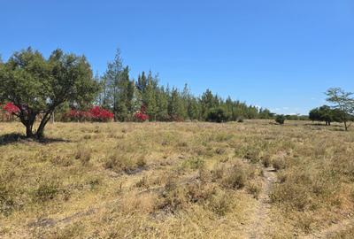 0.25 ac Land in Kitengela
