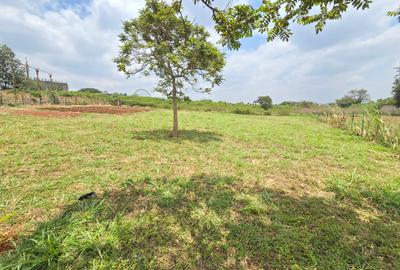 Residential Land at Runda Garden