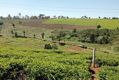 Residential Land in Tigoni - 4