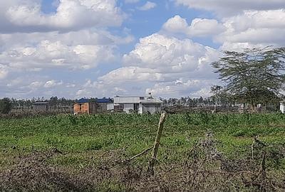 Residential Land at Leshaoo