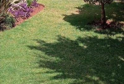 4 Bed Townhouse with En Suite in Kitisuru