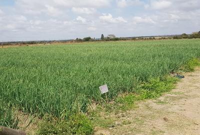10 ac Land in Isinya - 4