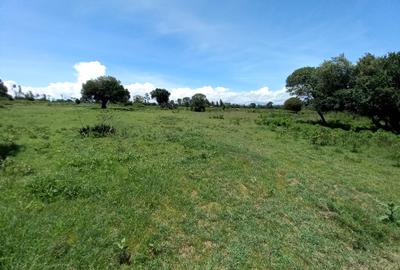 5 ac Residential Land at Nanyuki