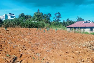 500 m² Residential Land at Green View Estate