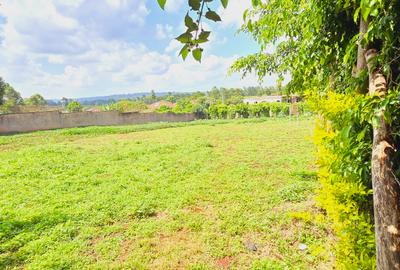 Residential Land at Mumwe