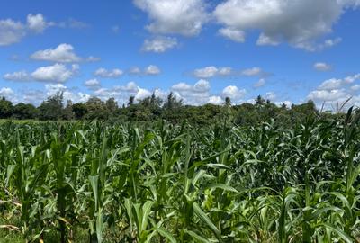 505 m² Land at Mavueni - 3