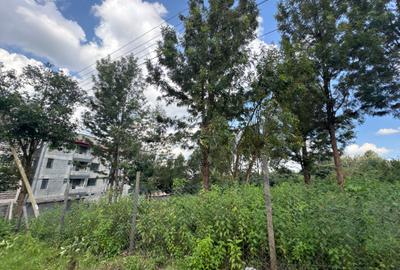 0.5 ac Land in Ngong