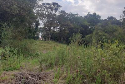 Residential Land in Karen