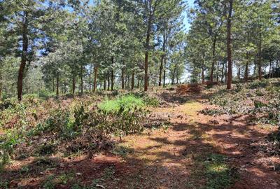 Residential Land in Ruiru