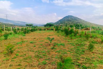 500 m² Residential Land at Ndiuni