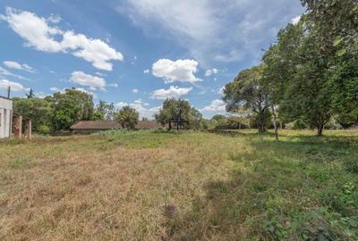 0.5 ac Land in Karen Hardy - 3