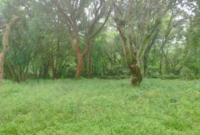 Land at Lower Kabete