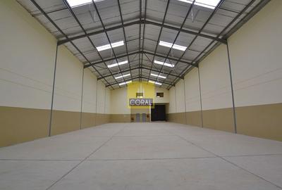 Warehouse with Cctv in Athi River