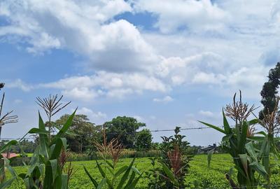 1 ac Residential Land at Tigoni - 3