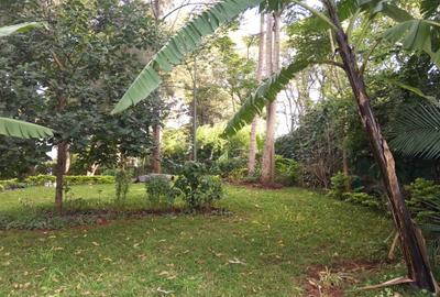 Residential Land in Lavington