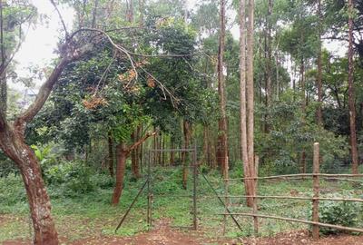 1 ac Land in Kitisuru