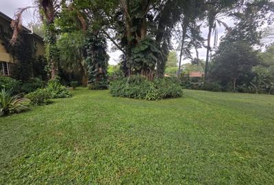 Commercial Land in Lavington - 3