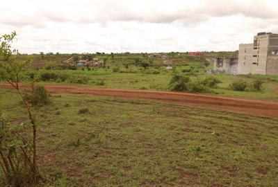 10 ac Land at Witeithie