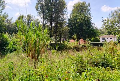 0.1 ha Residential Land at Kerarapon Drive - 2