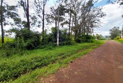 0.64 ac Residential Land in Thindigua