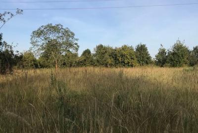 10,000 ft² Land at Phase 1 - 4