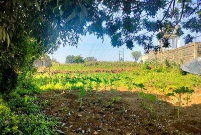0.5 ac Land in Tigoni - 3