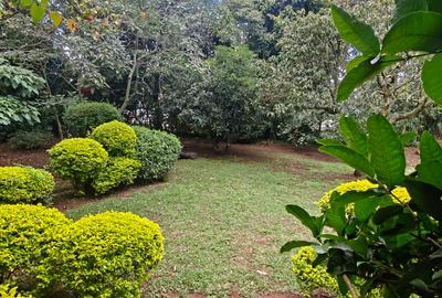 4 Bed House with Staff Quarters in Karen - 2