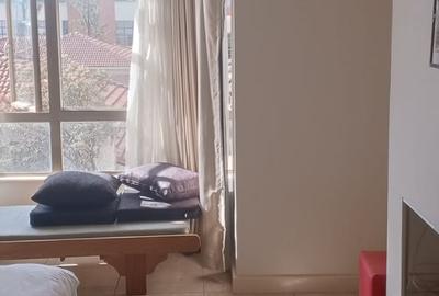 Furnished 1 Bed Apartment with Backup Generator in Lavington - 4