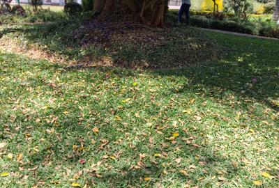 4 Bed Townhouse with En Suite in Karen - 3