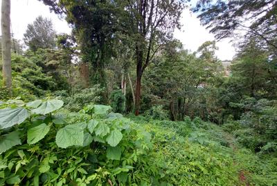 0.5 ac Land in Kitisuru