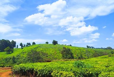 1 ac Residential Land at Tigoni