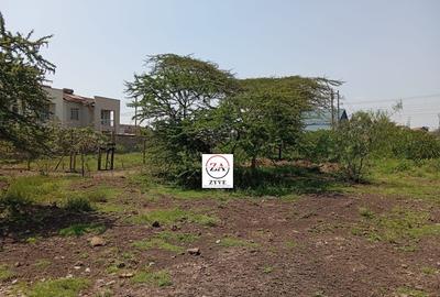 0.125 ac Commercial Land at Kimbo