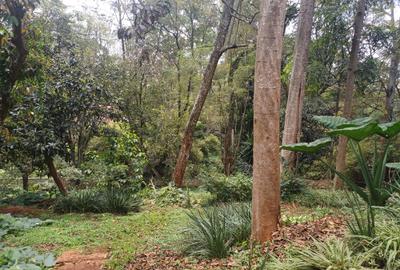 Residential Land at Donyo Sabuk